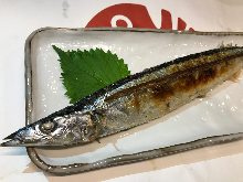 Salted and grilled saury