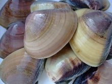 Grilled common orient clams