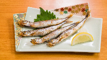 Grilled shishamo smelt