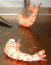 Large prawn