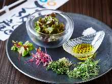 Plant vegetables and green salad