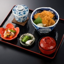 Tarekatsu (pork cutlet with sauce) rice bowl set meal