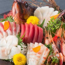 Assorted sashimi