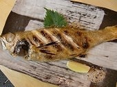 Other grilled fish