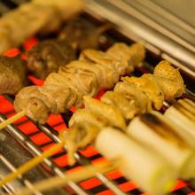 Other Yakitori / skewers