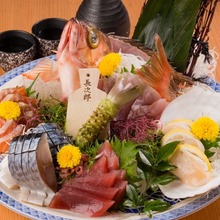 Sashimi