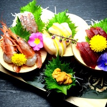 Assorted sashimi, 5 kinds