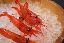 Other sashimi / fresh fish dishes