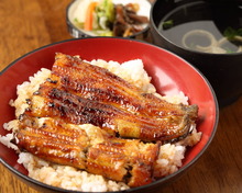 Premium eel rice bowl