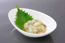 Wasabi octopus