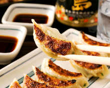 Bite-size gyoza