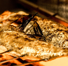 Salt roasted rosy seabass