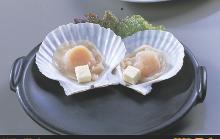 Scallops