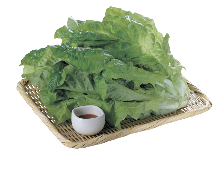 Sangchu (Korean stem lettuce)