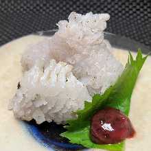 Parboiled conger myriaster