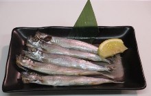 Shishamo smelt with roe