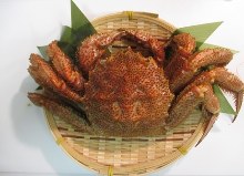 Kegani(horsehair crab)