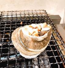 Grilled turban shell