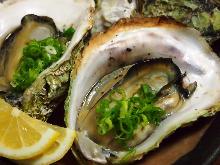 Grilled oysters