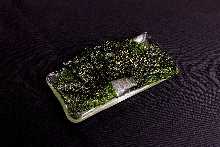 Korean seaweed