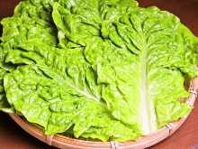 Sangchu (Korean stem lettuce)