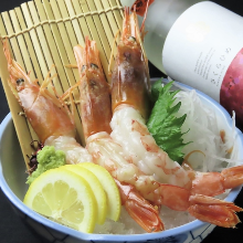 Shrimp sashimi
