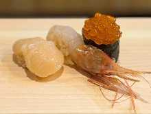 Botan shrimp