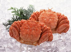 Two fresh crabs on ice