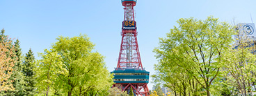  Sapporo TV Tower