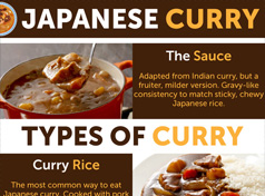 Japanese curry guide