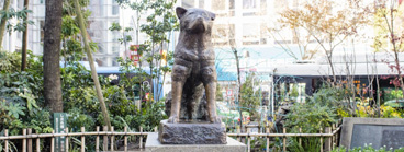 Hachiko