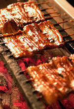 Grilled eel