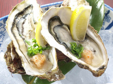 Raw oyster