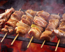 Assorted grilled chicken skewers, 5 kinds