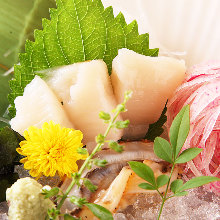 Scallop sashimi