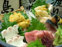 Assorted sashimi of the season