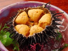 Raw sea urchin