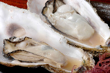 Raw oyster