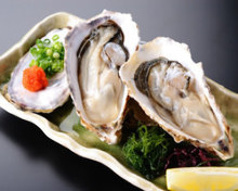 Rock oyster