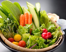 Vegetable salad