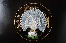 Sashimi of Tiger Puffer Fish (grilled surface)