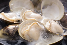 Common orient clams steamed with sake