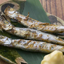 Shishamo smelt with roe