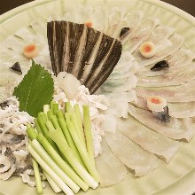 Japanese pufferfish