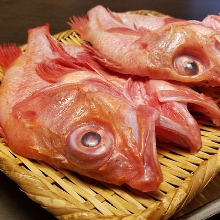 Charcoal grilled kichiji rockfish