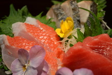 Assorted sashimi