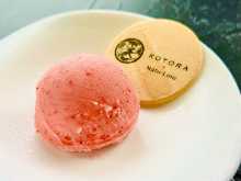 Gelato strawberry