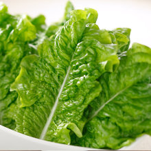 Sangchu (Korean stem lettuce)