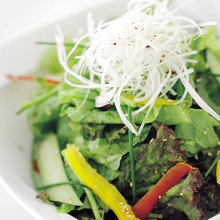 Namul (Korean seasoned vegetables or wild greens) salad