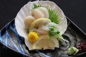 Scallop sashimi